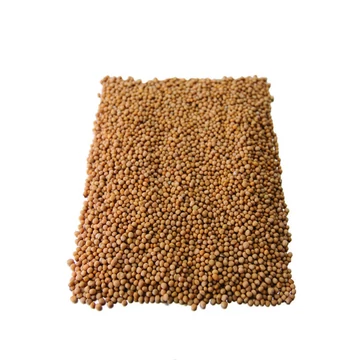 Gyógyfű tea Mustármag 100g