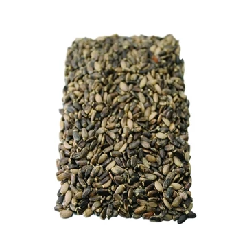 Gyógyfű tea Máriatövismag 50g