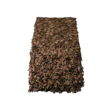 Gyógyfű tea Kapormag 40g