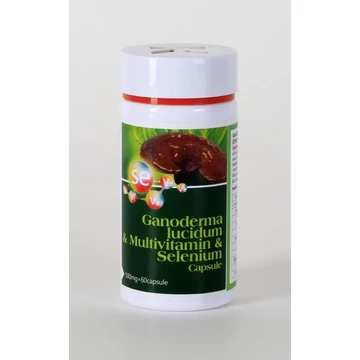 Big Star Ganoderma+Multivitamin+Szelén kapszula 500m~60x 60x