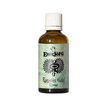 Ezerjófű Ragadós galaj kivonat glicerines 50ml