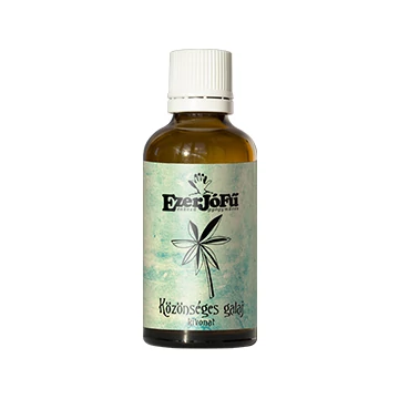 Ezerjófű Közönséges galaj kivonat glicerines 50ml