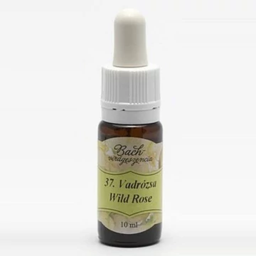 Bach virágeszencia vadrózsa   37. 10ml