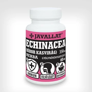 Javallat echinacea herba kapszula 60x