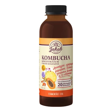 Viva Natura kombucha koncentrátum echinacea+c vit. 500ml