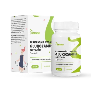 Netamin Fermentált vegán Glükozamin + Kitozan kapszula 90x