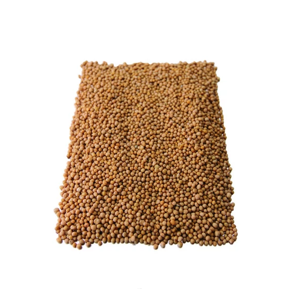 Gyógyfű tea Mustármag 100g