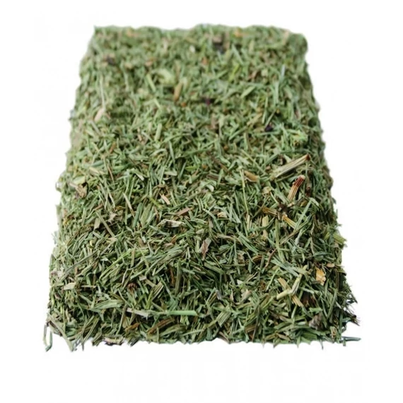 Gyógyfű tea Zsurló mezei 50g