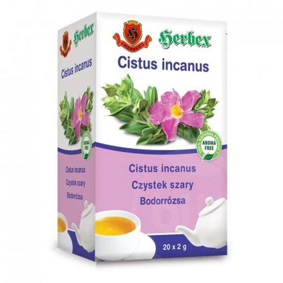 Herbex Bodorrózsa filteres tea 20x