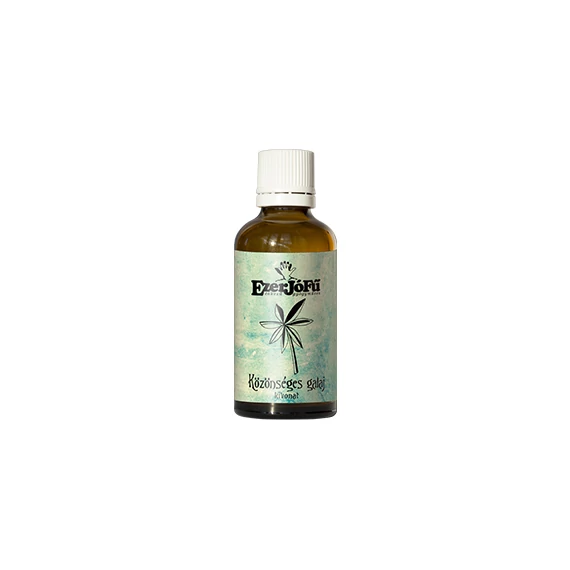Ezerjófű Közönséges galaj kivonat glicerines 50ml