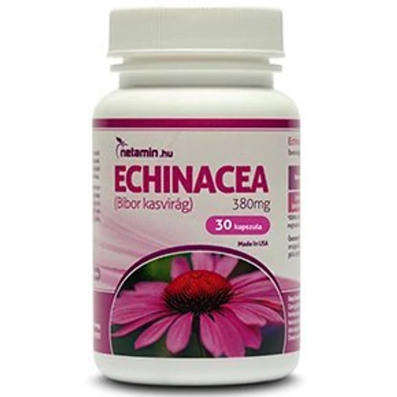 Netamin Echinacea 380mg kapszula 30x