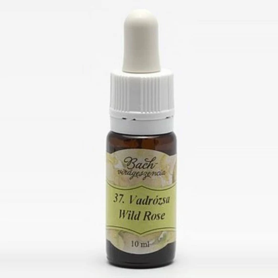 Bach virágeszencia vadrózsa   37. 10ml