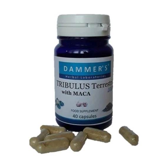 Dammer's Tribulis királydinnye kapszula 40x
